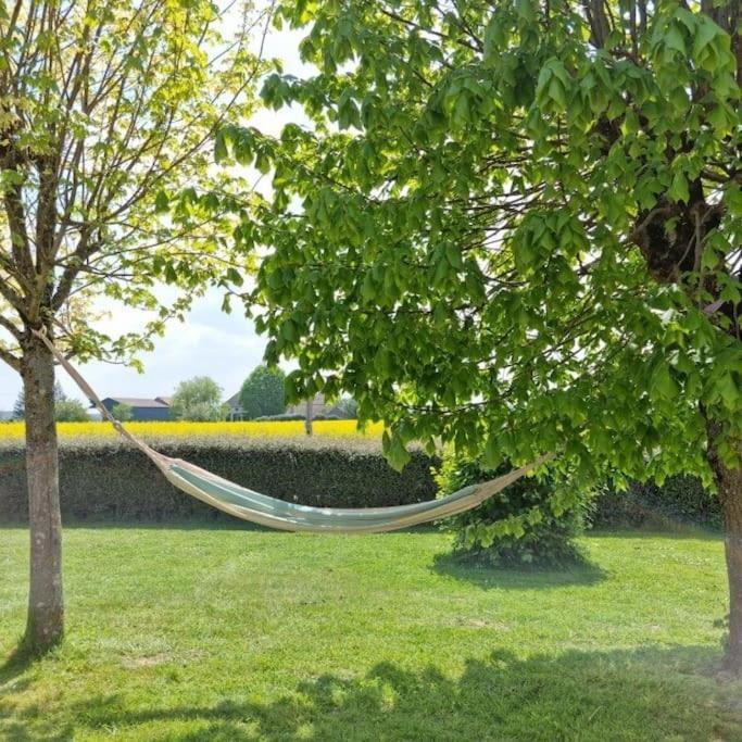 Grande Maison De Plain Pied Avec Jardin Arbore. Champignelles Zewnętrze zdjęcie